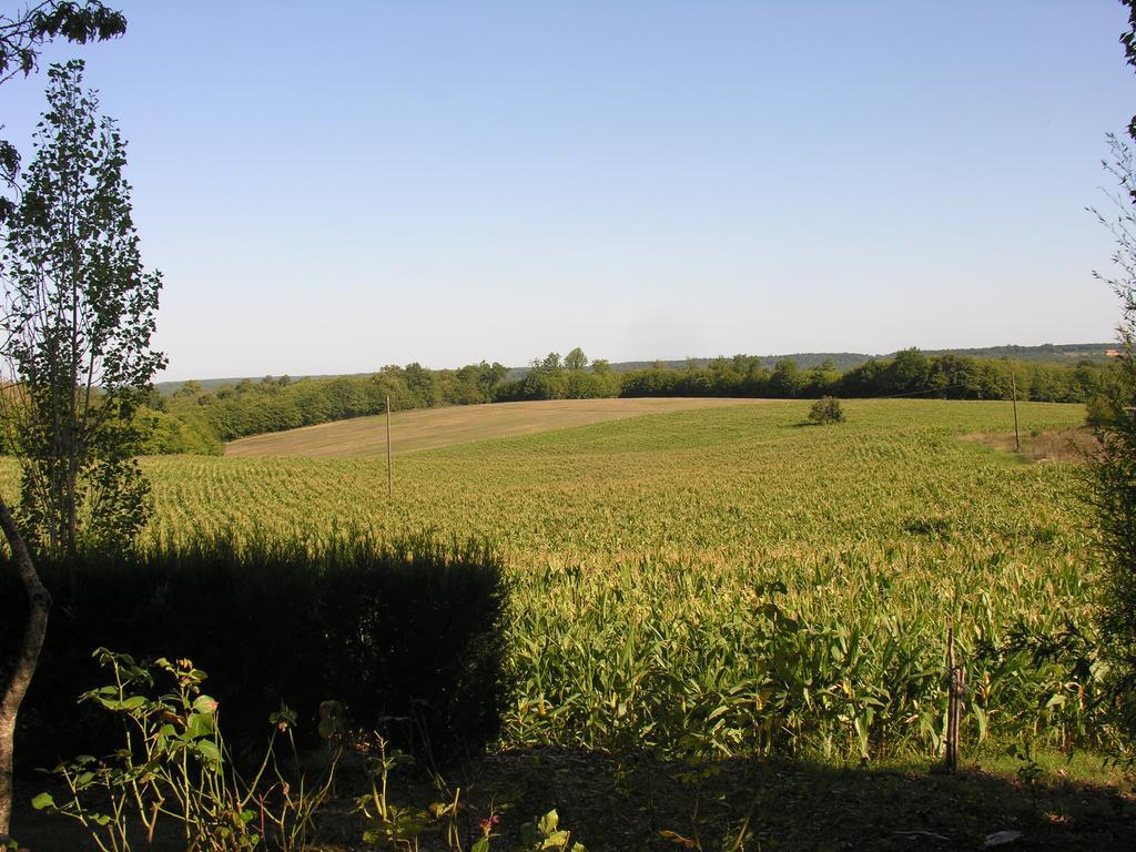Chez Annie Saint-Avit-Rivière Exterior foto